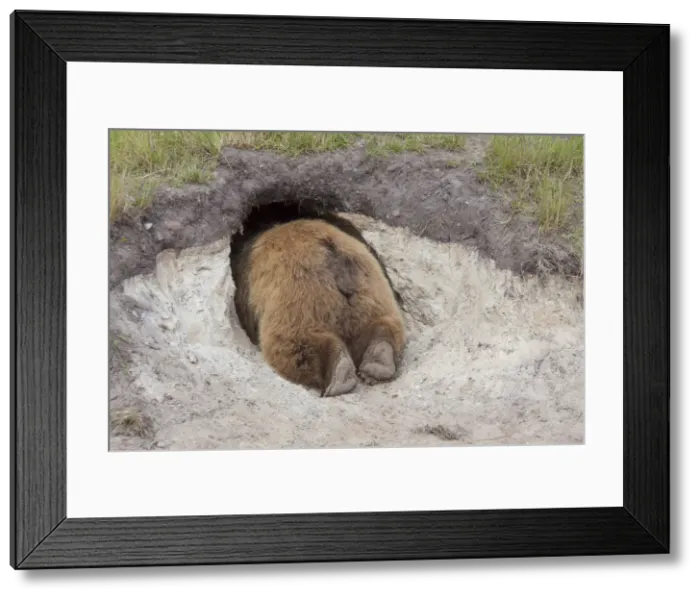 Framed Print : Picture No. 12479116 Framed Print : Picture No. 12479116