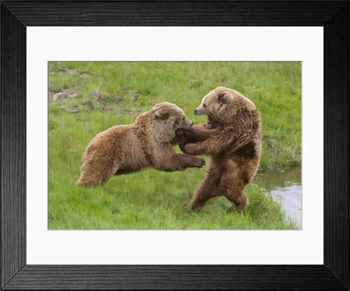 Framed Print : Picture No. 12479122 Framed Print : Picture No. 12479122