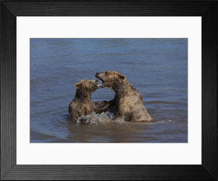 Framed Print : Picture No. 12479124