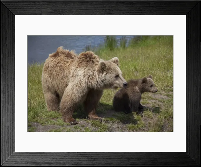 Framed Print : Picture No. 12479127 Framed Print : Picture No. 12479127