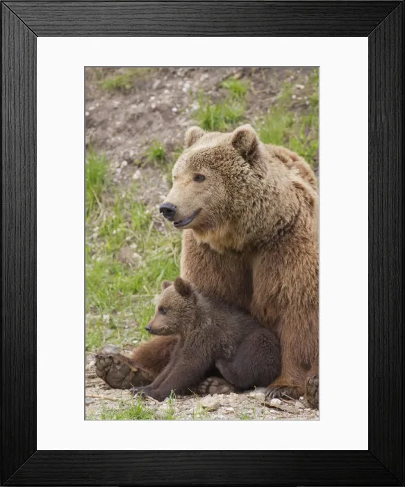 Framed Print : Picture No. 12479130 Framed Print : Picture No. 12479130