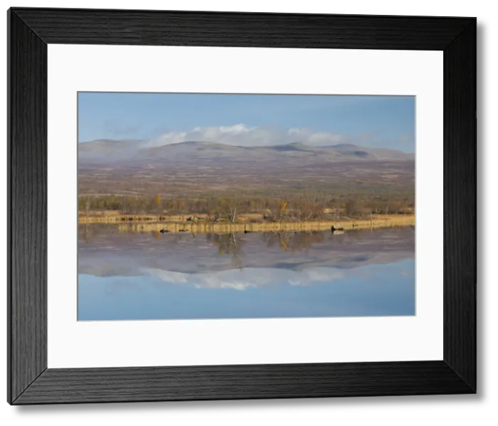 Framed Print : Picture No. 12479137 Framed Print : Picture No. 12479137