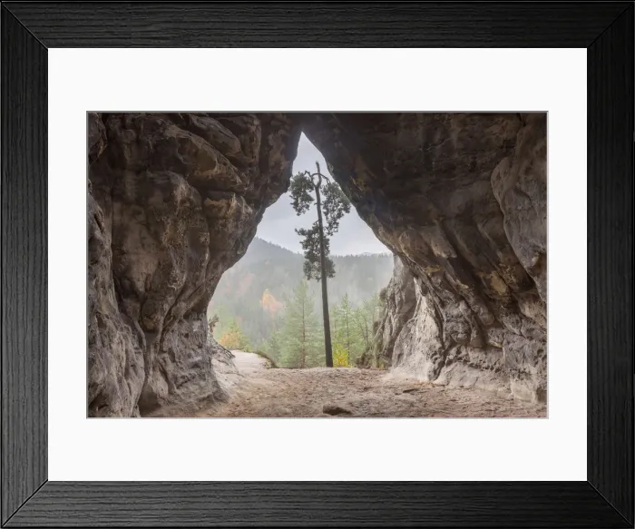 Framed Print : Picture No. 12479146