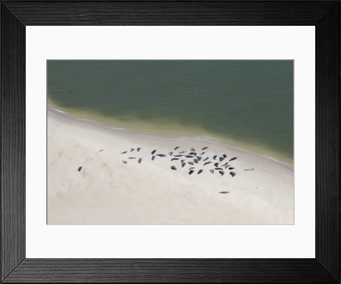 Framed Print : Picture No. 12479850 Framed Print : Picture No. 12479850