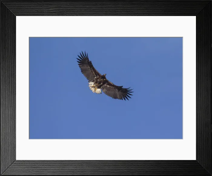 Framed Print : Picture No. 12479860 Framed Print : Picture No. 12479860