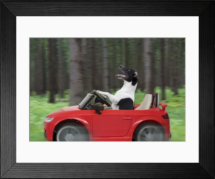 Framed Print : Picture No. 12479937