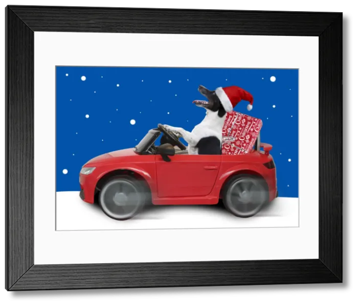 Framed Print : Picture No. 12479936 Framed Print : Picture No. 12479936