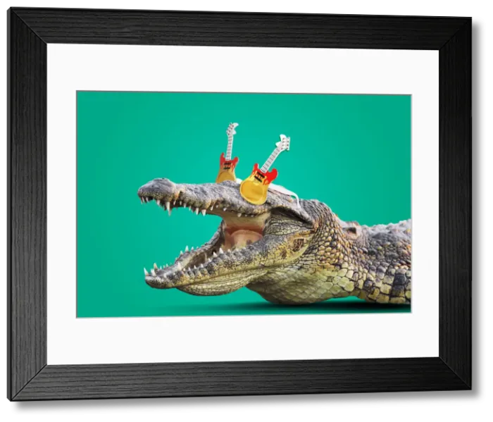 Framed Print : Picture No. 12480157