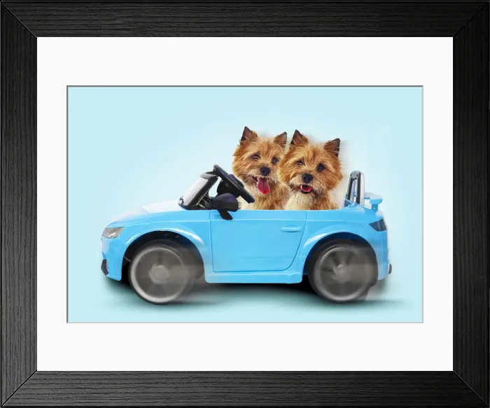 Framed Print : Picture No. 12479941 Framed Print : Picture No. 12479941