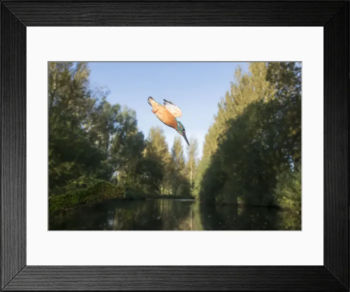 Framed Print : Picture No. 12479526 Framed Print : Picture No. 12479526