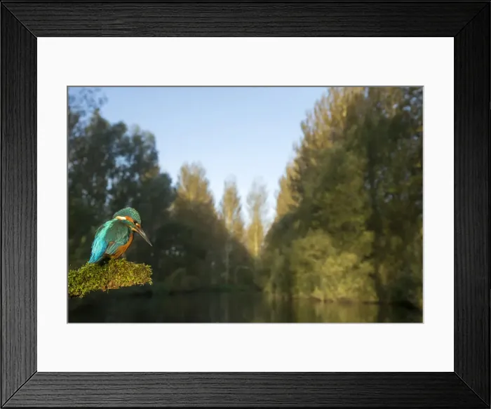 Framed Print : Picture No. 12479546 Framed Print : Picture No. 12479546