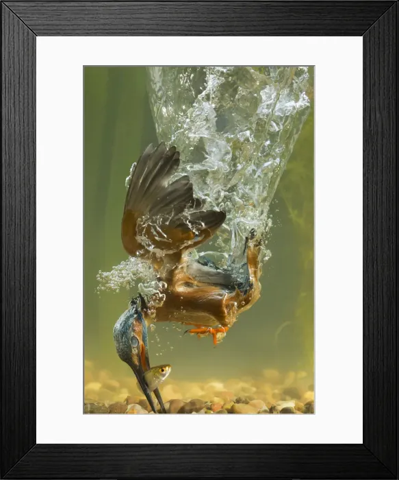Framed Print : Picture No. 12479547 Framed Print : Picture No. 12479547