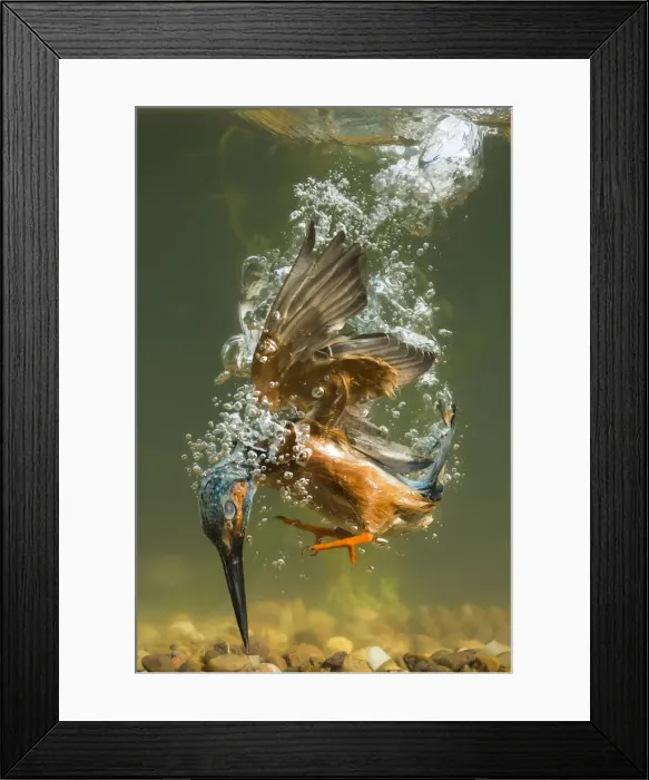 Framed Print : Picture No. 12479548 Framed Print : Picture No. 12479548