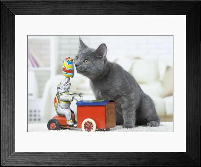 Framed Print : Picture No. 12478520 Framed Print : Picture No. 12478520