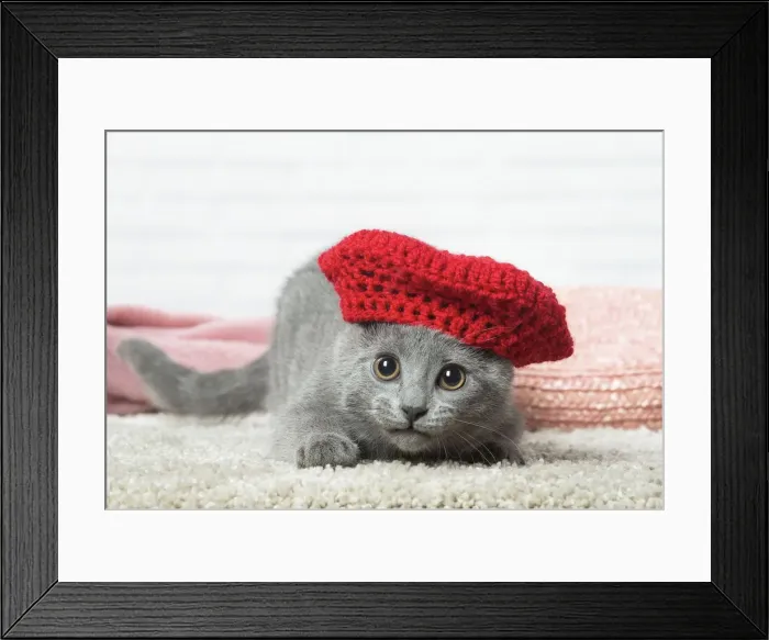 Framed Print : Picture No. 12478550 Framed Print : Picture No. 12478550
