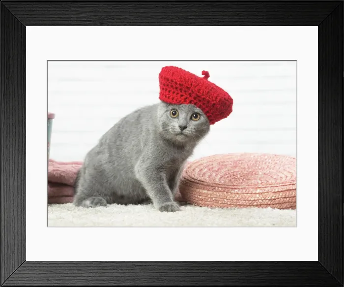 Framed Print : Picture No. 12478549 Framed Print : Picture No. 12478549