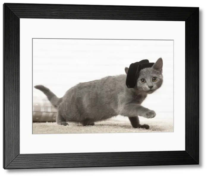 Framed Print : Picture No. 12478552 Framed Print : Picture No. 12478552