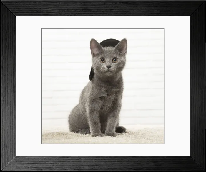 Framed Print : Picture No. 12478553 Framed Print : Picture No. 12478553