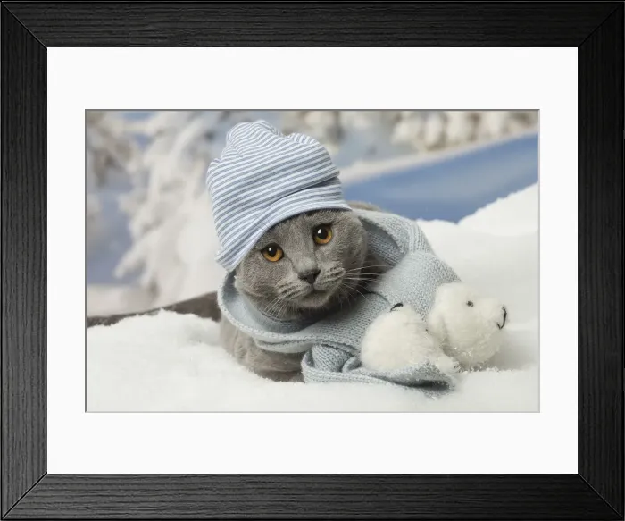 Framed Print : Picture No. 12478564 Framed Print : Picture No. 12478564