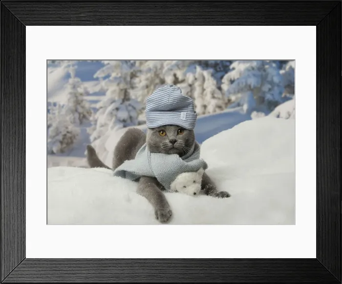Framed Print : Picture No. 12478567 Framed Print : Picture No. 12478567