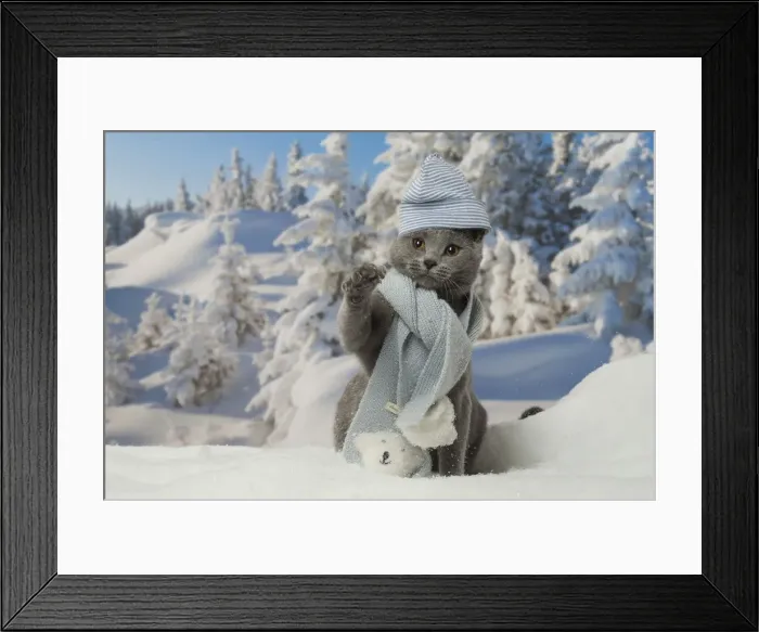 Framed Print : Picture No. 12478568 Framed Print : Picture No. 12478568