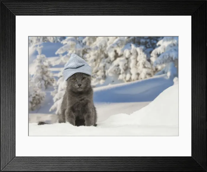 Framed Print : Picture No. 12478580 Framed Print : Picture No. 12478580