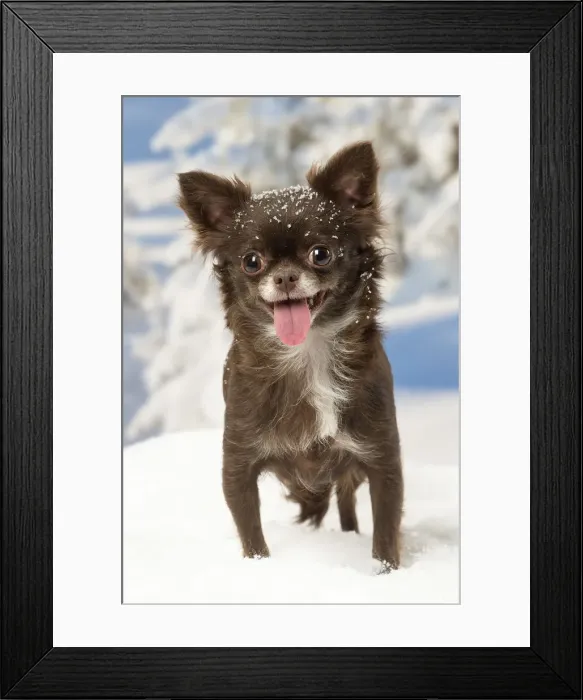 Framed Print : Picture No. 12478608 Framed Print : Picture No. 12478608