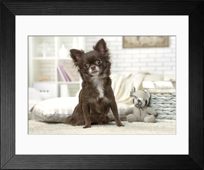 Framed Print : Picture No. 12478619 Framed Print : Picture No. 12478619