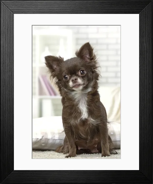 Framed Print : Picture No. 12478620 Framed Print : Picture No. 12478620