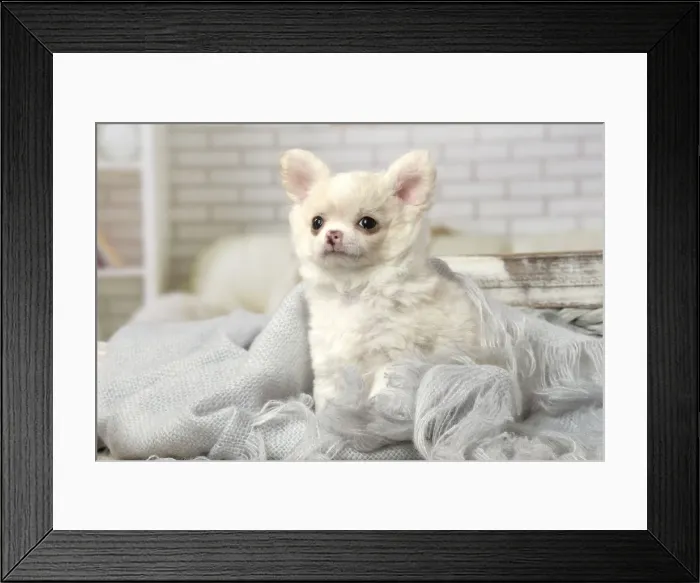 Framed Print : Picture No. 12478621 Framed Print : Picture No. 12478621