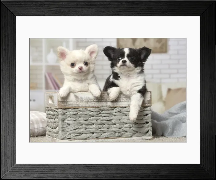Framed Print : Picture No. 12478624 Framed Print : Picture No. 12478624