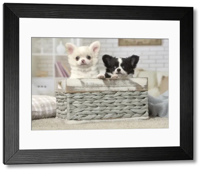 Framed Print : Picture No. 12478625 Framed Print : Picture No. 12478625