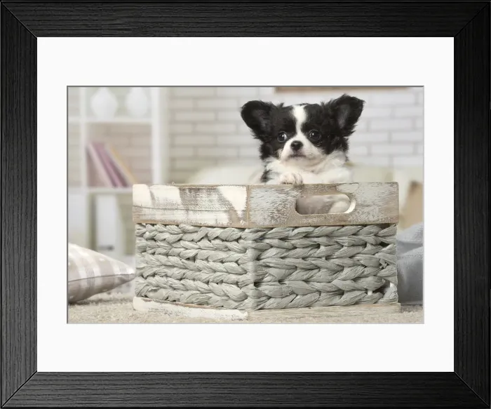 Framed Print : Picture No. 12478626 Framed Print : Picture No. 12478626