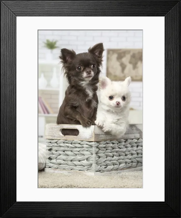 Framed Print : Picture No. 12478628 Framed Print : Picture No. 12478628