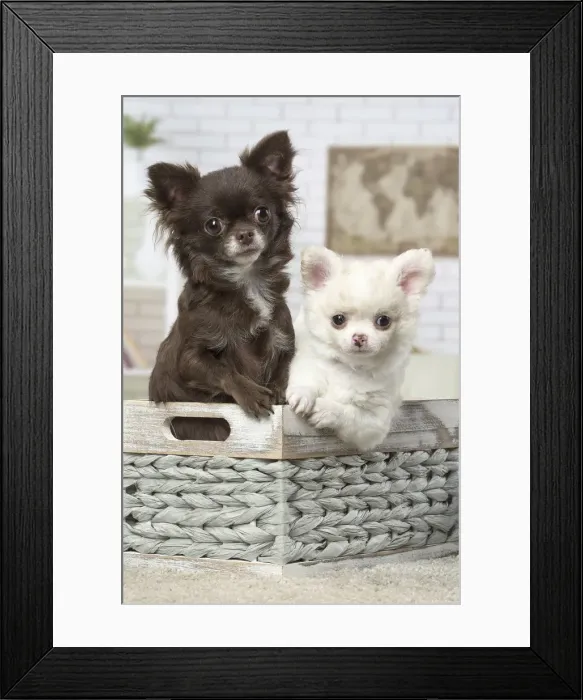 Framed Print : Picture No. 12478629 Framed Print : Picture No. 12478629