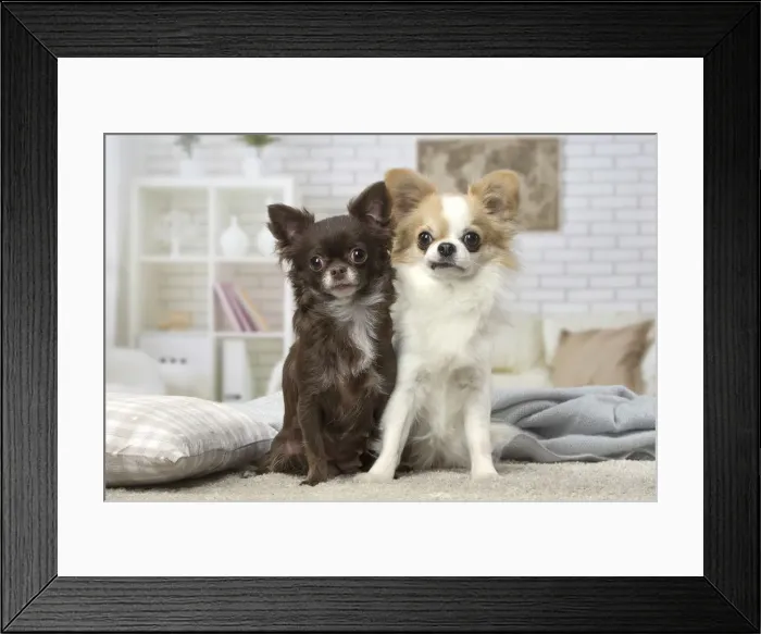 Framed Print : Picture No. 12478630 Framed Print : Picture No. 12478630