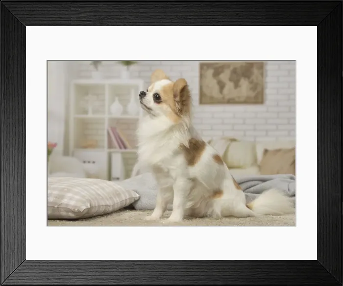 Framed Print : Picture No. 12478632 Framed Print : Picture No. 12478632