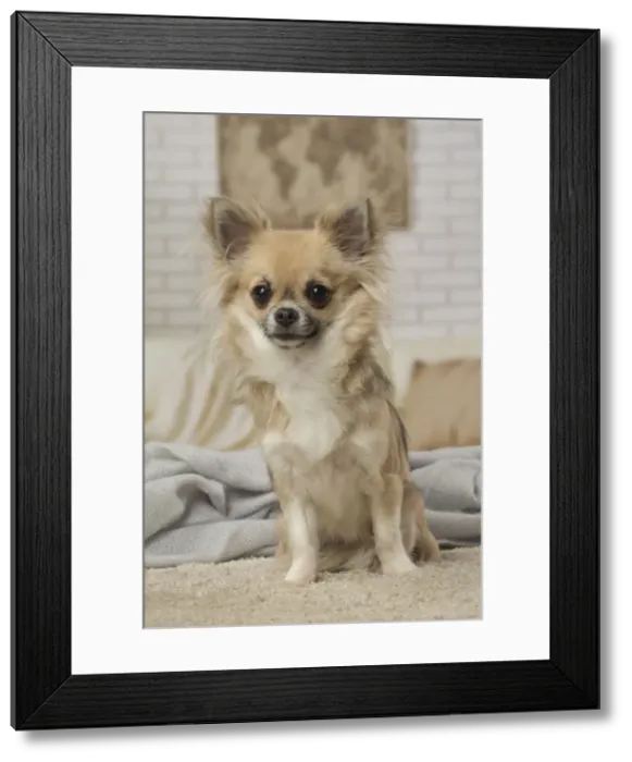 Framed Print : Picture No. 12478634 Framed Print : Picture No. 12478634