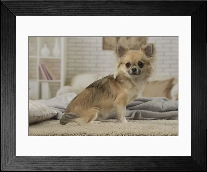 Framed Print : Picture No. 12478633 Framed Print : Picture No. 12478633