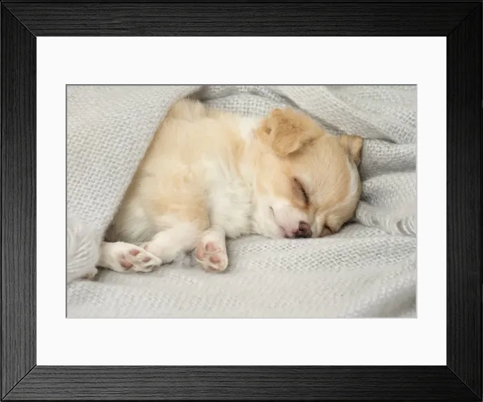 Framed Print : Picture No. 12478655 Framed Print : Picture No. 12478655