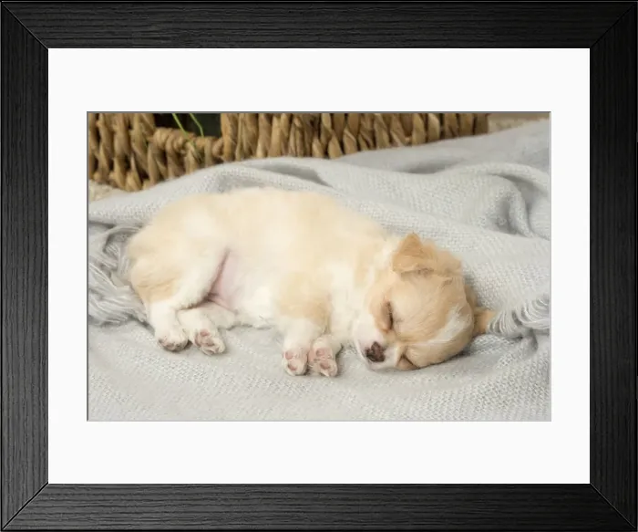 Framed Print : Picture No. 12478657 Framed Print : Picture No. 12478657