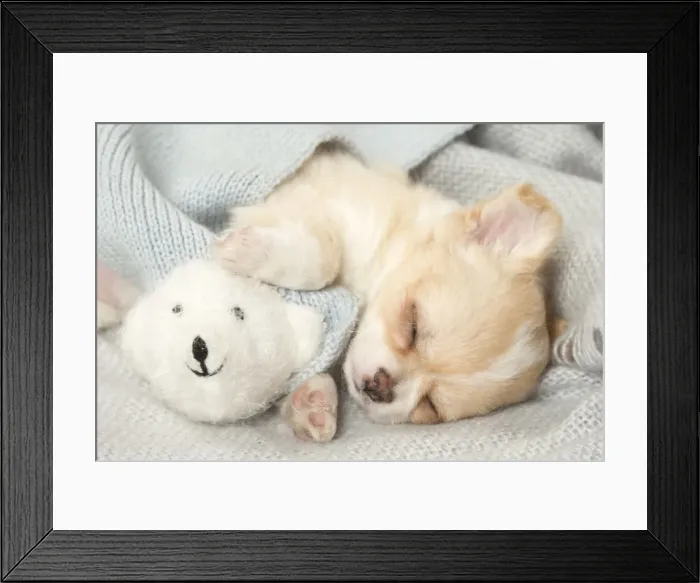 Framed Print : Picture No. 12478659 Framed Print : Picture No. 12478659