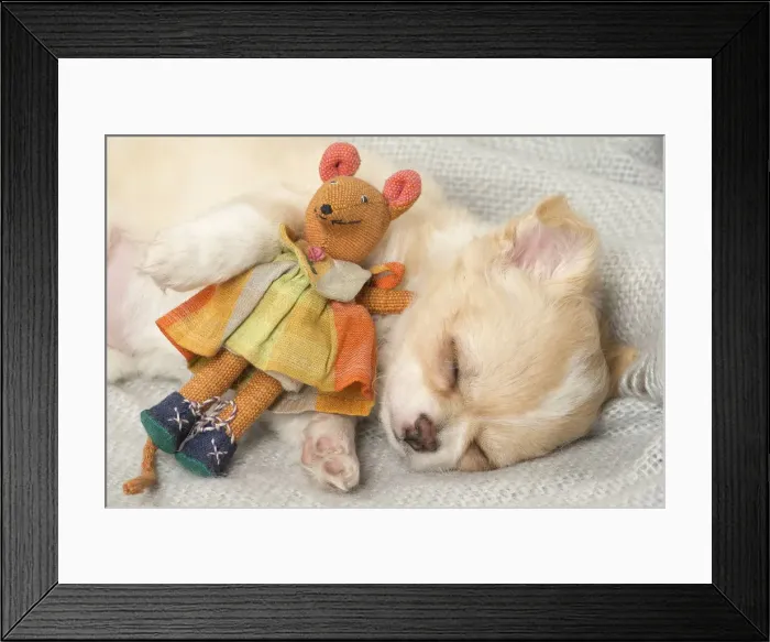 Framed Print : Picture No. 12478658 Framed Print : Picture No. 12478658