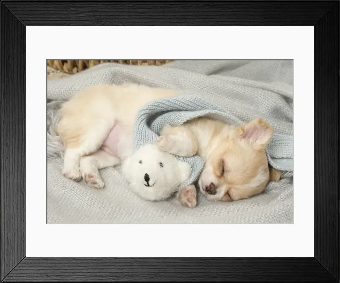 Framed Print : Picture No. 12478660 Framed Print : Picture No. 12478660