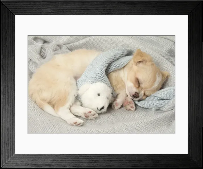 Framed Print : Picture No. 12478661 Framed Print : Picture No. 12478661