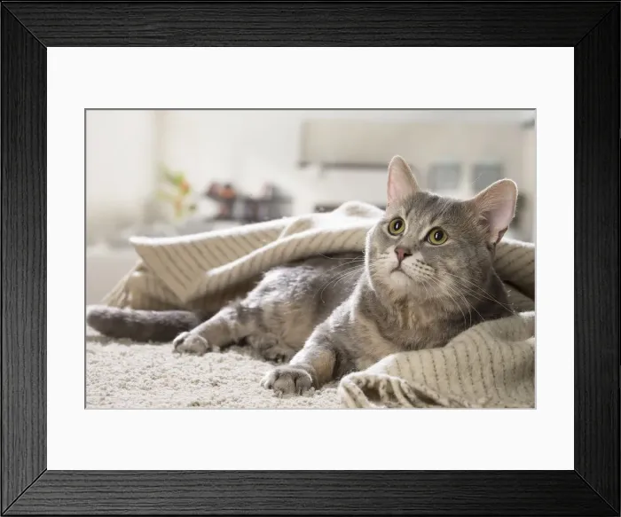 Framed Print : Picture No. 12478669 Framed Print : Picture No. 12478669