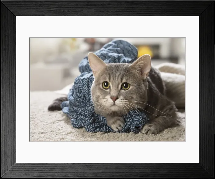 Framed Print : Picture No. 12478672 Framed Print : Picture No. 12478672