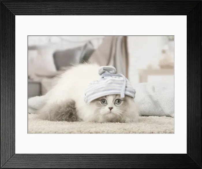 Framed Print : Picture No. 12478712 Framed Print : Picture No. 12478712