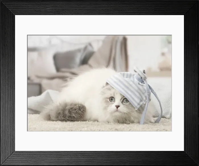 Framed Print : Picture No. 12478713 Framed Print : Picture No. 12478713
