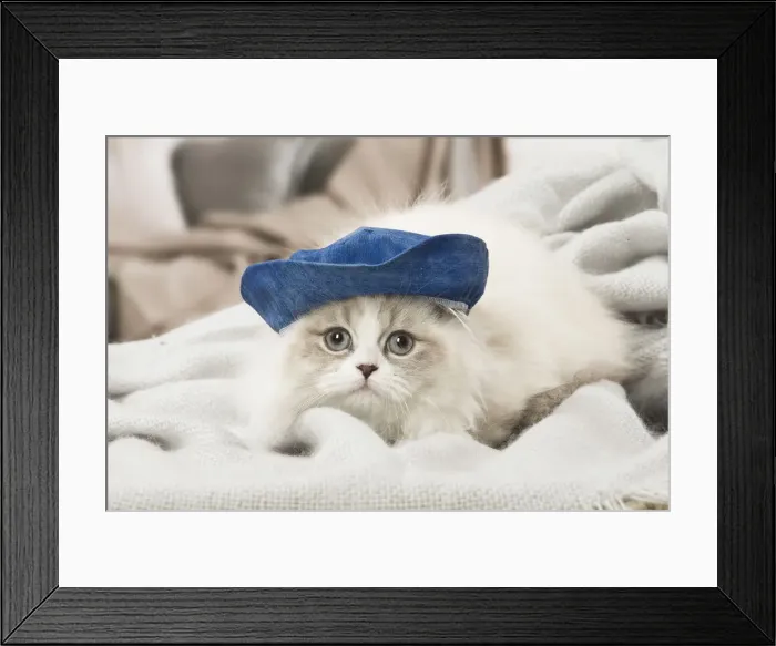 Framed Print : Picture No. 12478716 Framed Print : Picture No. 12478716